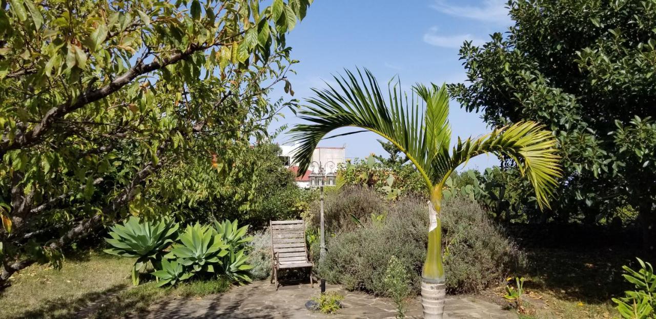 דירות איקוד דה לוס וינוס La Casita De La Vega מראה חיצוני תמונה