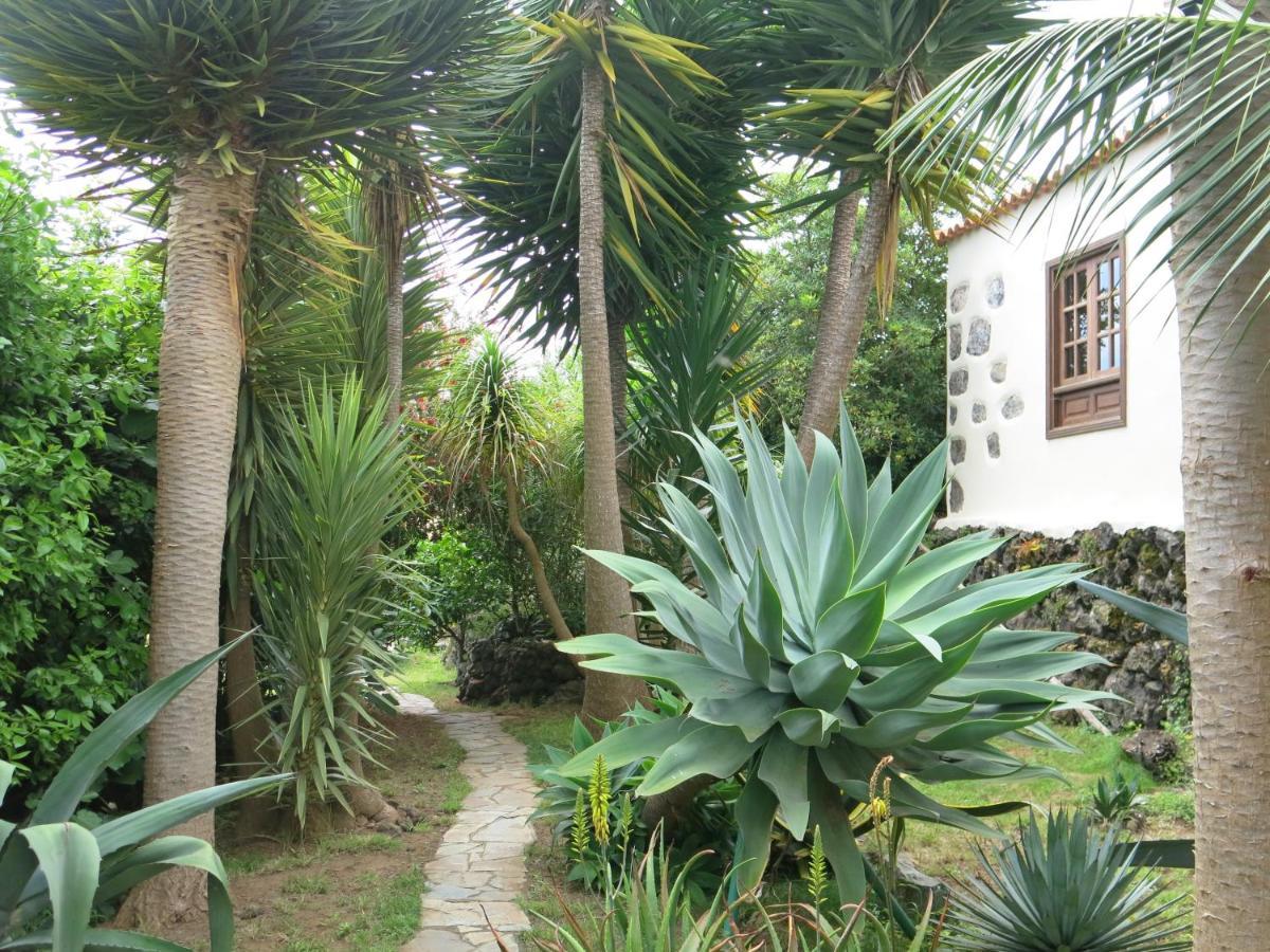 דירות איקוד דה לוס וינוס La Casita De La Vega מראה חיצוני תמונה