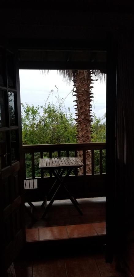דירות איקוד דה לוס וינוס La Casita De La Vega מראה חיצוני תמונה