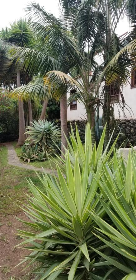 דירות איקוד דה לוס וינוס La Casita De La Vega מראה חיצוני תמונה