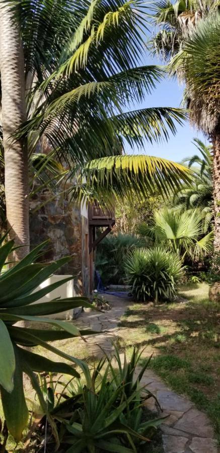 דירות איקוד דה לוס וינוס La Casita De La Vega מראה חיצוני תמונה