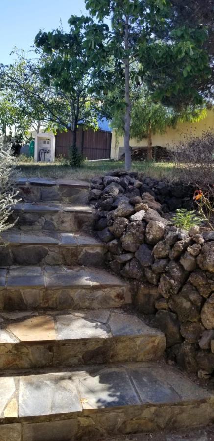 דירות איקוד דה לוס וינוס La Casita De La Vega מראה חיצוני תמונה