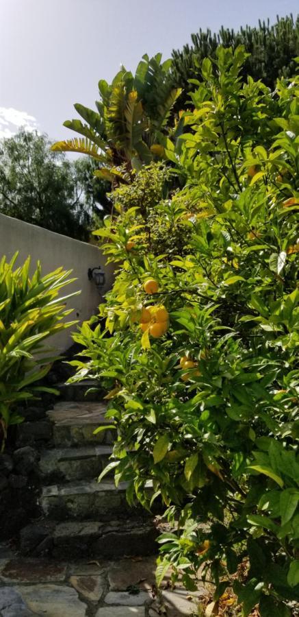 דירות איקוד דה לוס וינוס La Casita De La Vega מראה חיצוני תמונה
