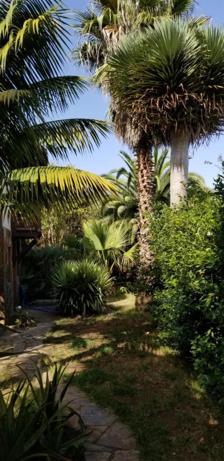 דירות איקוד דה לוס וינוס La Casita De La Vega מראה חיצוני תמונה