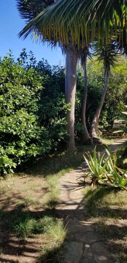 דירות איקוד דה לוס וינוס La Casita De La Vega מראה חיצוני תמונה