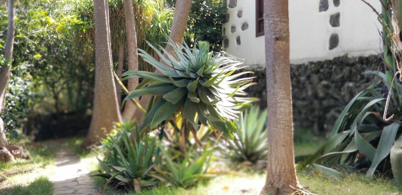 דירות איקוד דה לוס וינוס La Casita De La Vega מראה חיצוני תמונה