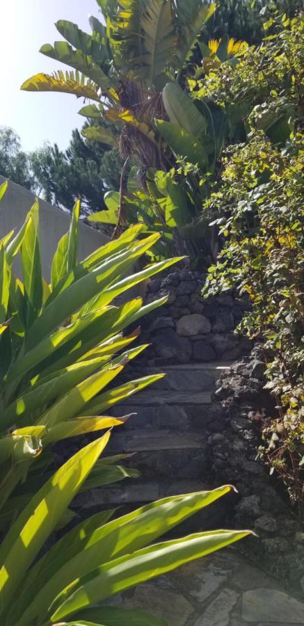 דירות איקוד דה לוס וינוס La Casita De La Vega מראה חיצוני תמונה