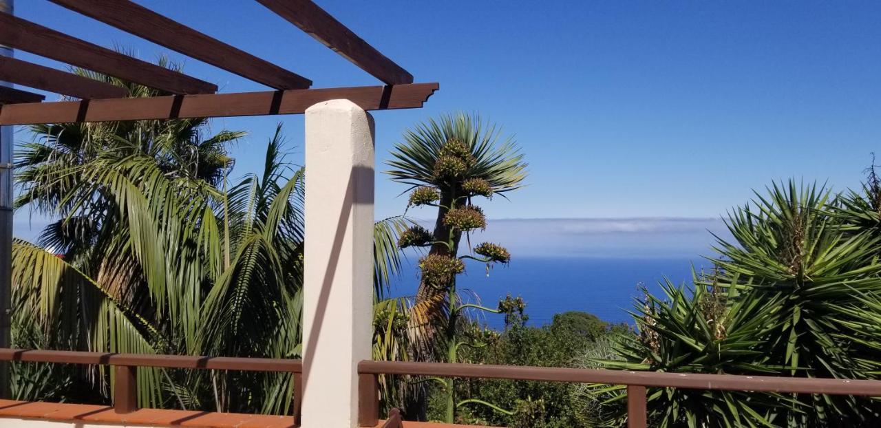 דירות איקוד דה לוס וינוס La Casita De La Vega מראה חיצוני תמונה