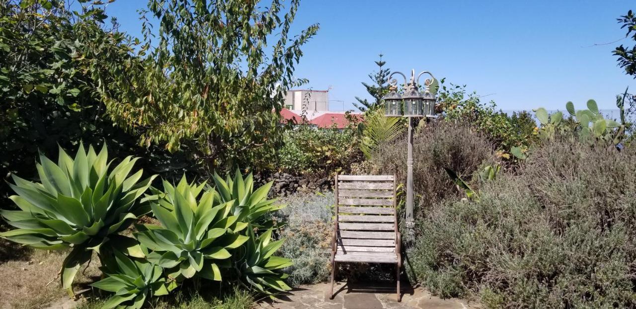 דירות איקוד דה לוס וינוס La Casita De La Vega מראה חיצוני תמונה