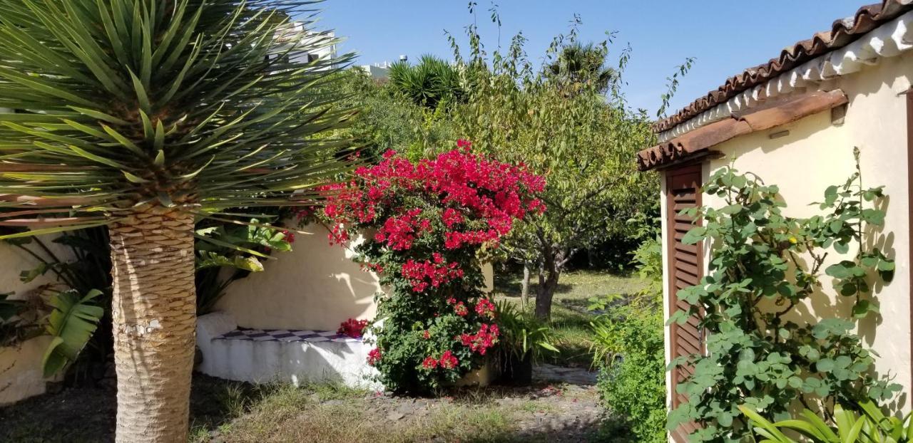 דירות איקוד דה לוס וינוס La Casita De La Vega מראה חיצוני תמונה